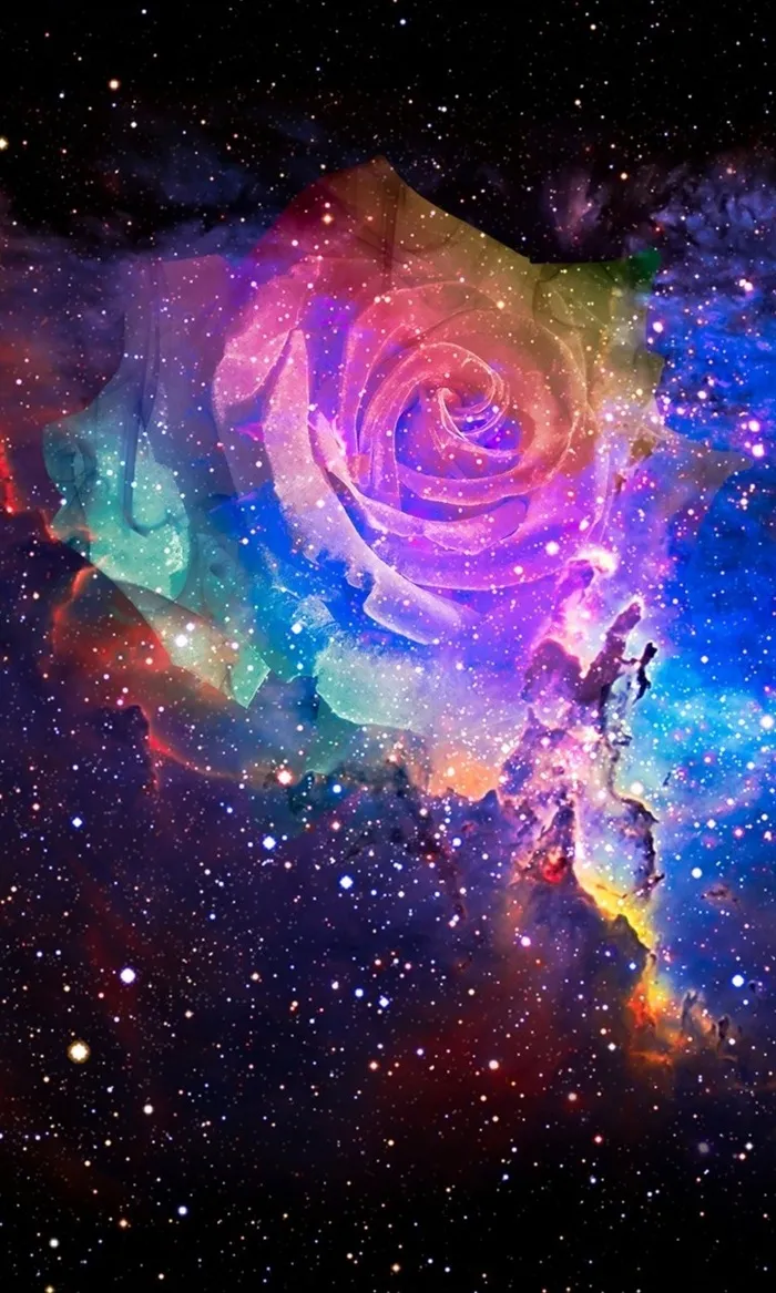 炫彩玫瑰H5背景高清