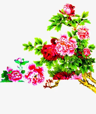 盛放的粉色牡丹花丛中秋免抠