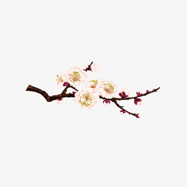 梅花免抠