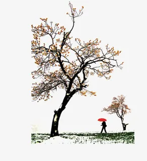 花枝漂浮花瓣气泡简洁大方树叶树免抠