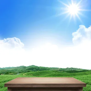 绿色主图，茶叶主图免抠