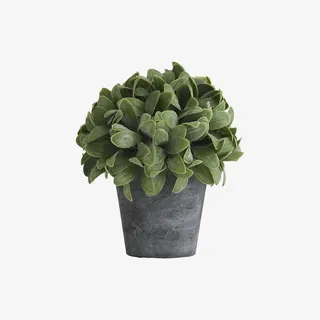 欧美流行插花 绿植物 鲜花软装免抠