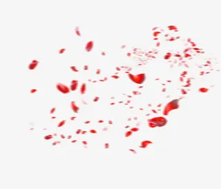 漂浮玫瑰花瓣免抠