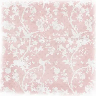 树枝上的小鸟免抠