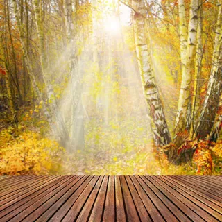 木板展台金秋背景图高清