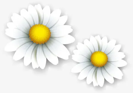 白色卡通唯美纯洁花朵免抠