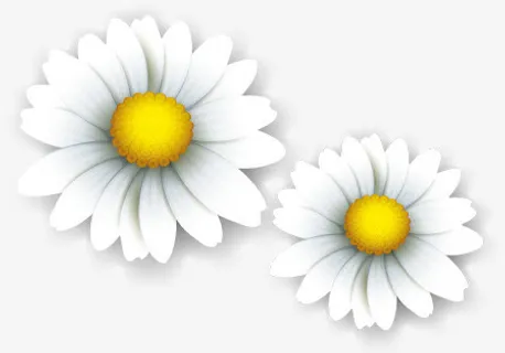 白色卡通唯美纯洁花朵免抠