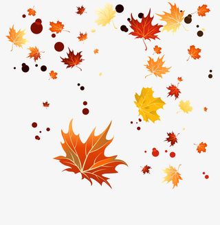 唯美红色枫叶免抠