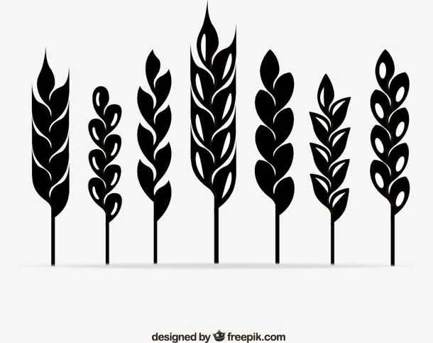 麦穗剪影设计矢量素材下载,免抠