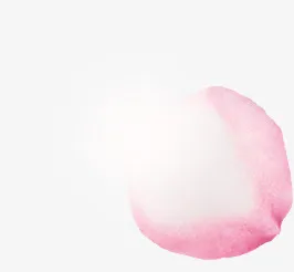 透明 漂浮 花瓣png素材免抠
