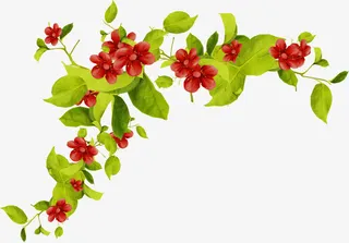 手绘树叶图片素材树叶背景素材免抠