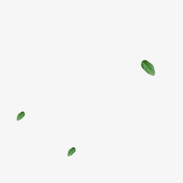 绿叶漂浮免抠