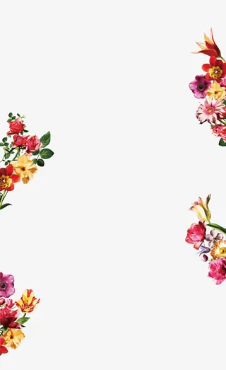 装饰花瓣装饰花边免抠