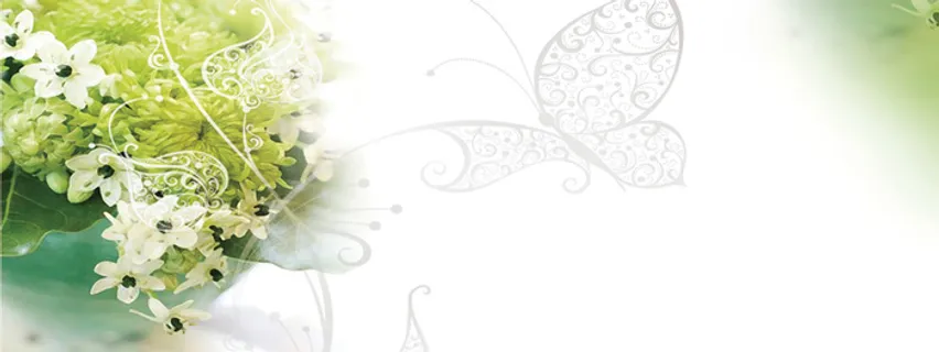 绿色温馨背景高清