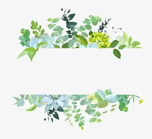 绿色的植物装饰免抠