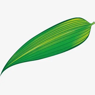 粽叶免抠