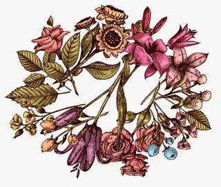 矢量手绘花朵免抠