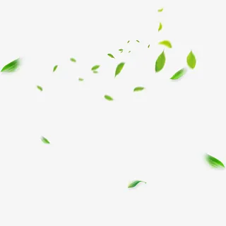 绿叶 漂浮物免扣元素免抠