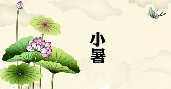 中国24节气之小暑节气背景高清