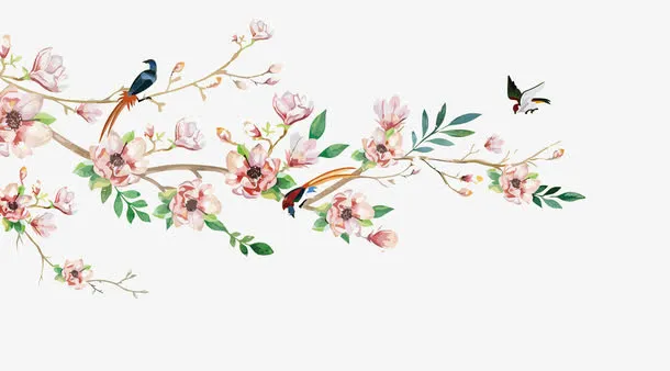 矢量花鸟免抠