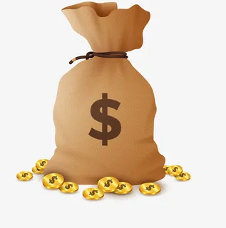 金融理财贷款金币钱袋子免抠