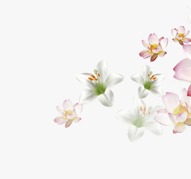 花朵元素免抠