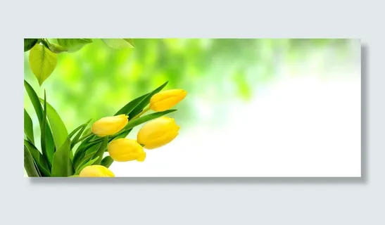 摄影鲜花草地背景高清