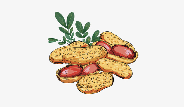 不一样的红皮花生免抠手绘/卡通手绘元素