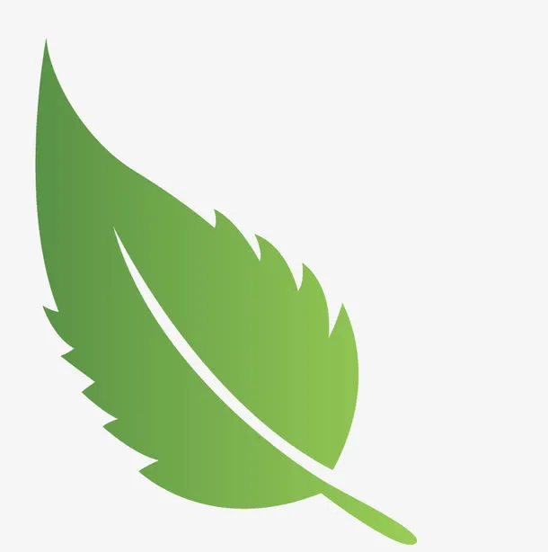 一片树叶免扣素材免抠