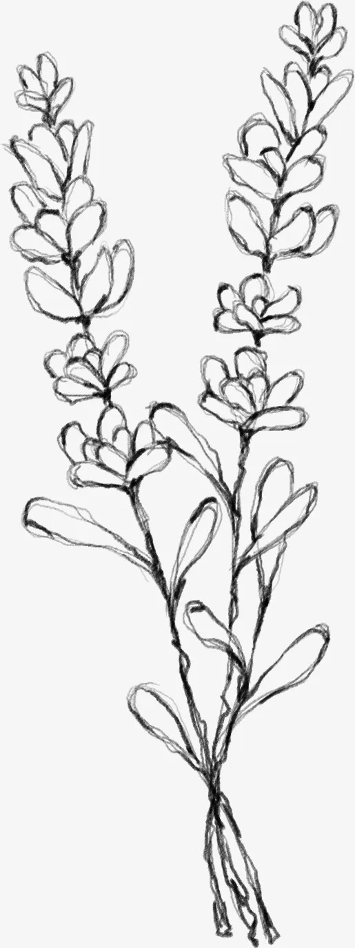 水墨花朵元素53免抠