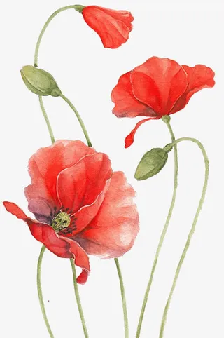 杜鹃花水墨画设计免抠