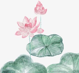原创手绘水墨风荷花免抠