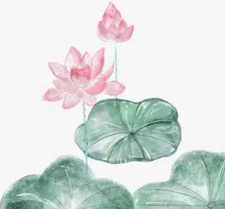 原创手绘水墨风荷花免抠