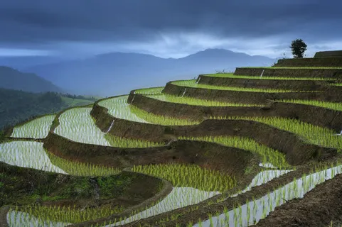 梯田绿色清新原野美景免抠