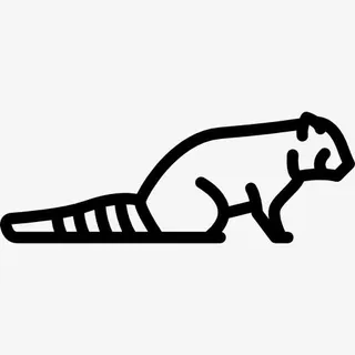 红熊猫图标免抠