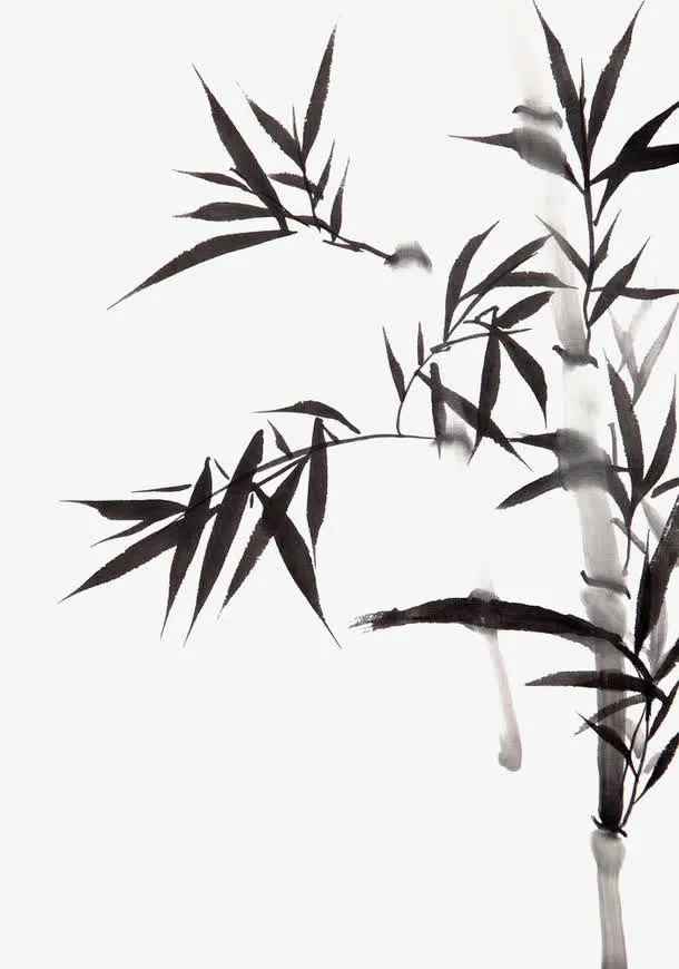 手绘水墨竹子免抠