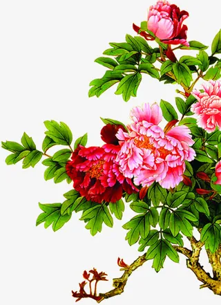 春天粉色古风牡丹绿叶免抠装饰植物元素