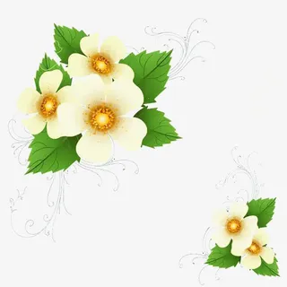 淡雅小花边框免抠