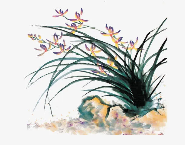 石头和兰草免抠