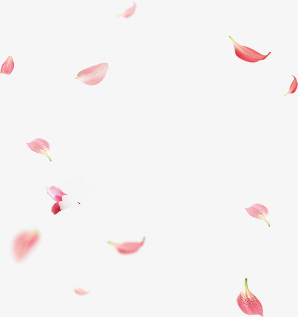 png漂浮花瓣免抠