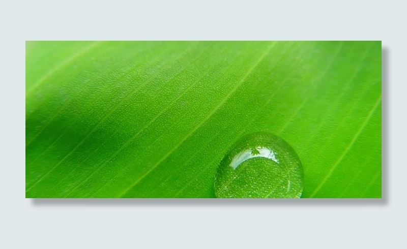 夏季绿色背景高清