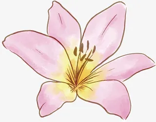 手绘春天粉色花朵免抠