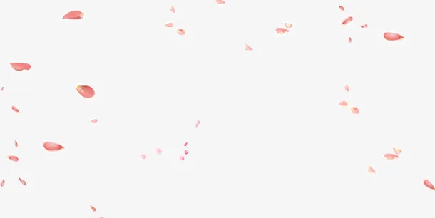 漂浮的漂亮花瓣免抠