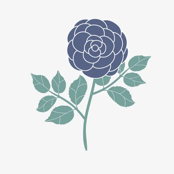 紫色花朵免抠
