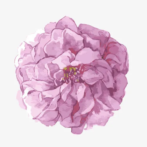 手绘紫色花朵免抠