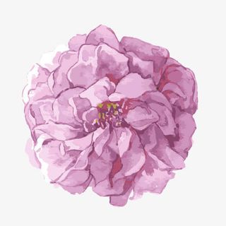 手绘紫色花朵免抠