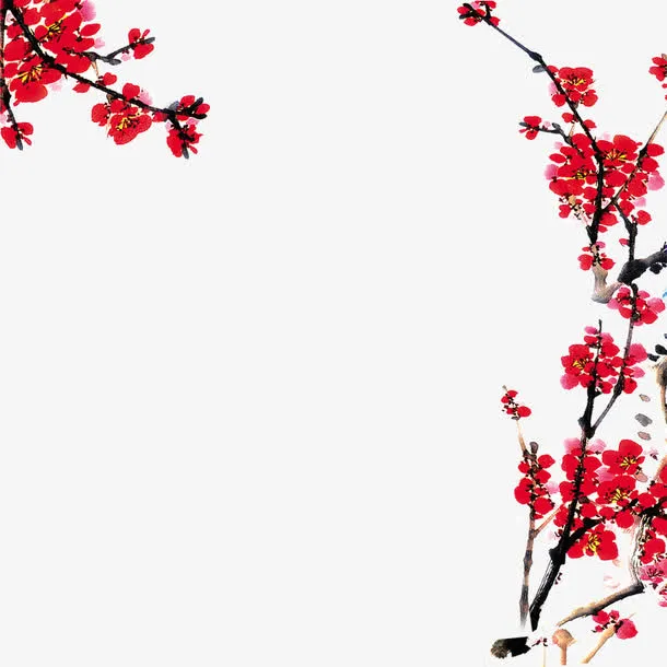 古风两支梅花免抠图免抠