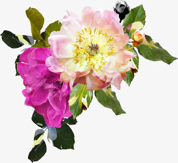 粉色鲜花免抠