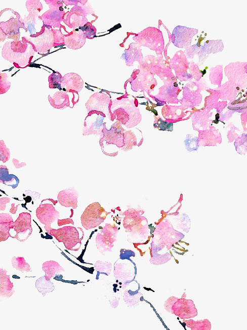 粉色水彩花朵免抠