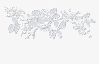 白色玫瑰花蕾丝免抠